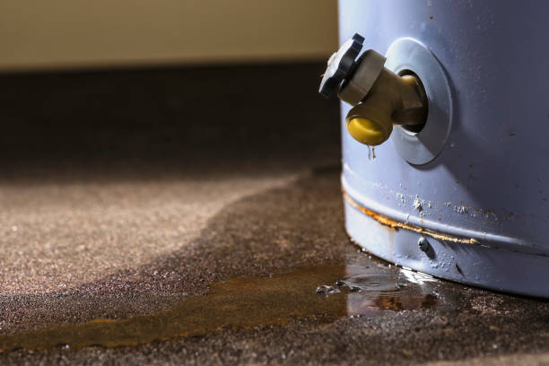 Best Water damage cleanup near me  in Higginsville, MO