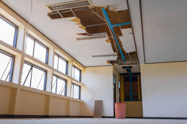 Best Flood damage cleanup  in Higginsville, MO