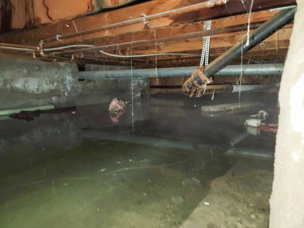 Best Flooded house restoration  in Higginsville, MO