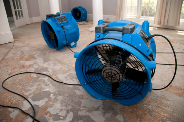 Best Local water damage restoration  in Higginsville, MO