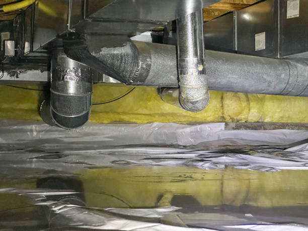 Best Professional water damage repair  in Higginsville, MO