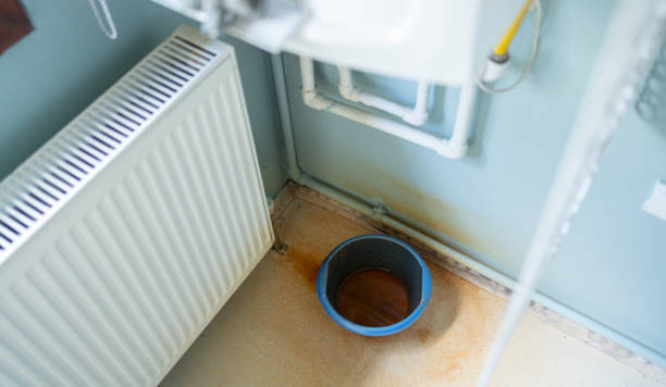 Best Ceiling water damage repair  in Higginsville, MO