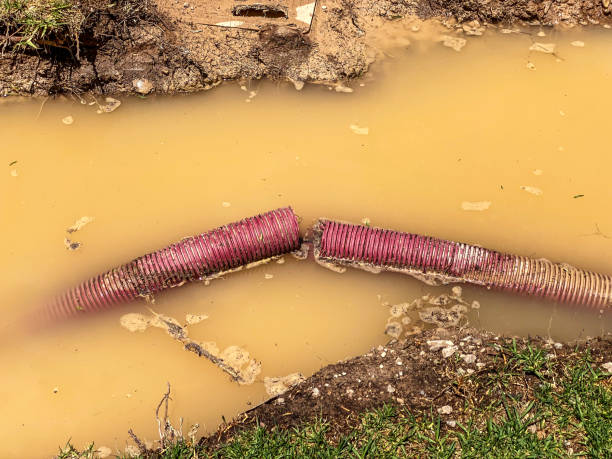 Best Emergency water damage restoration  in Higginsville, MO